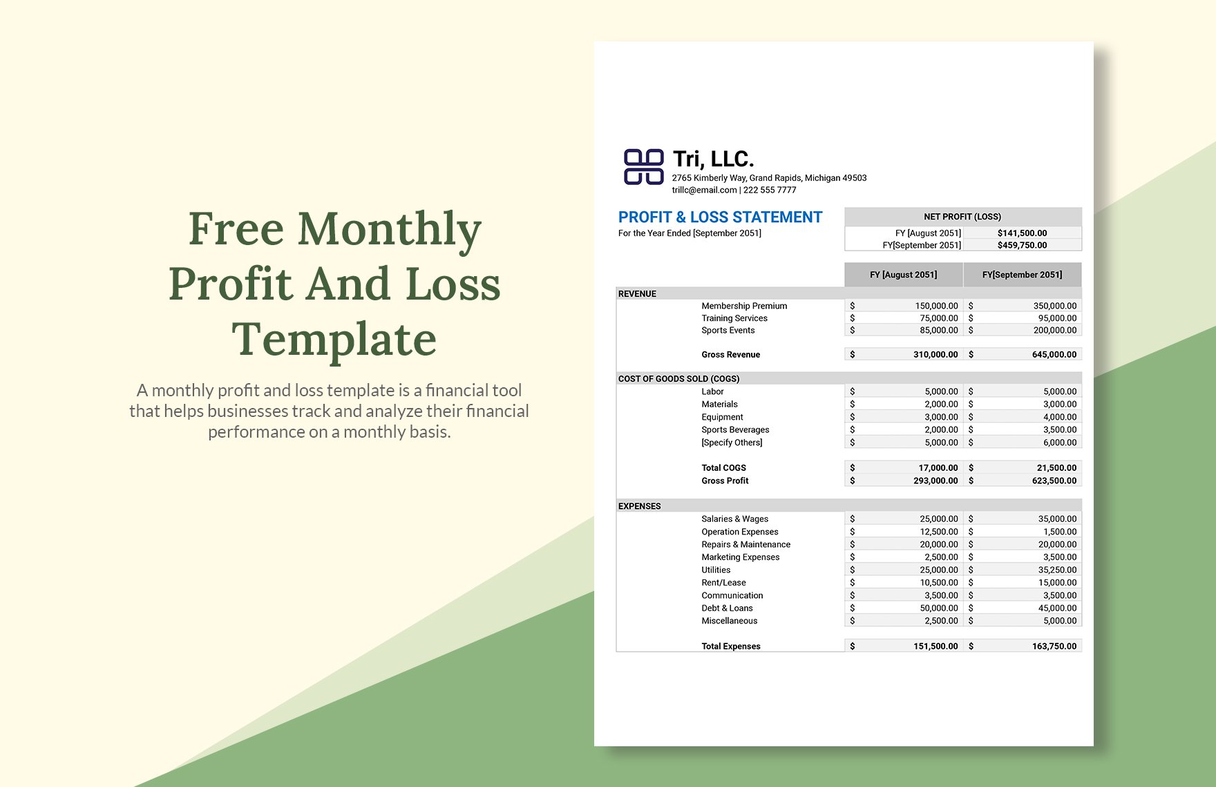 Free Monthly Profit And Loss Template Download in Excel, Google