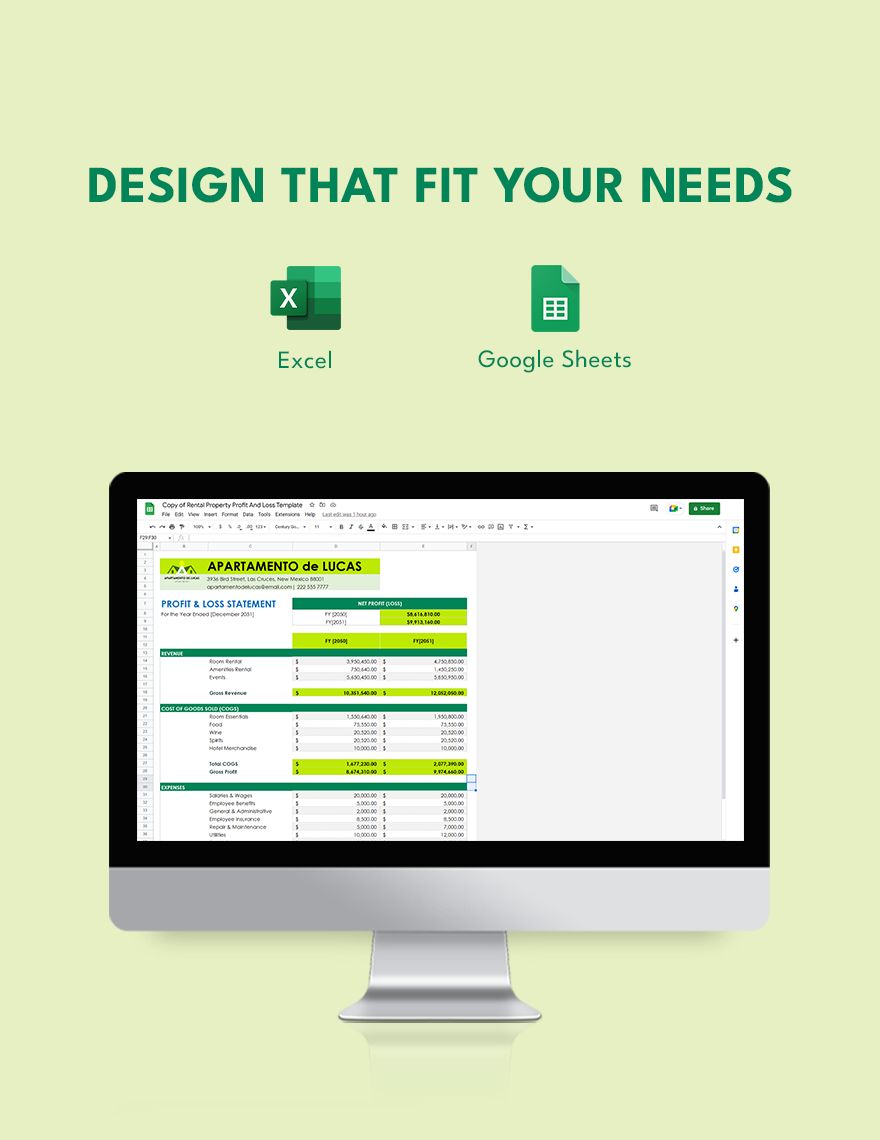 Rental Property Profit And Loss Template Download in Excel, Google