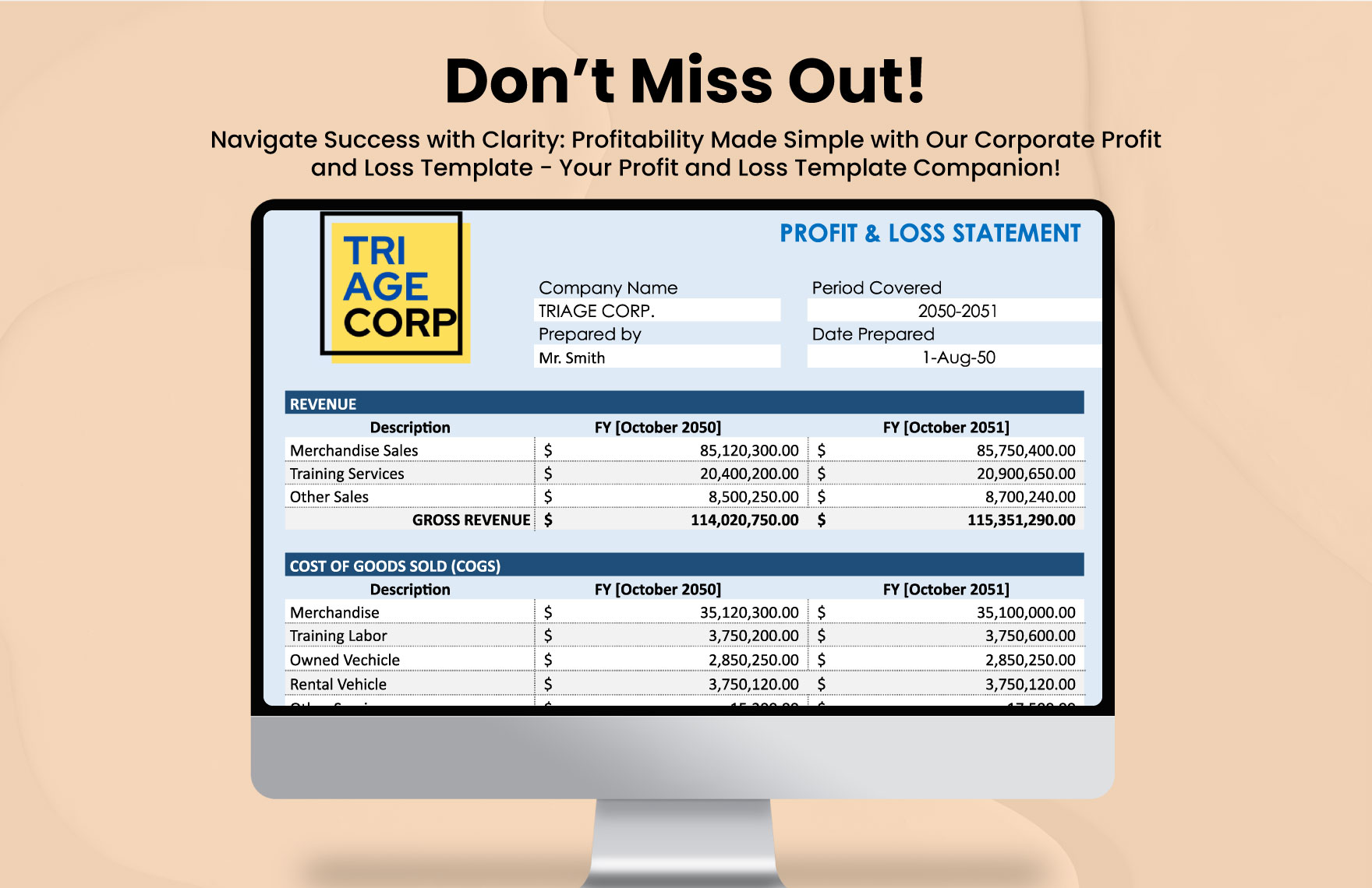 Corporate Profit And Loss Template