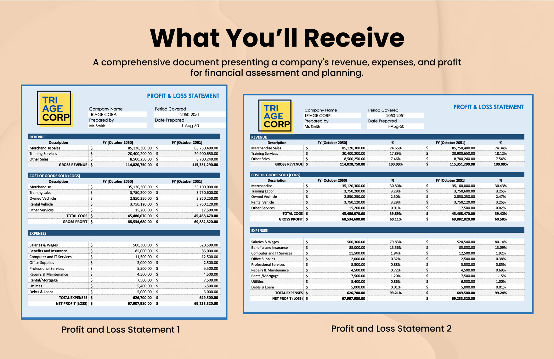 Corporate Profit And Loss Template