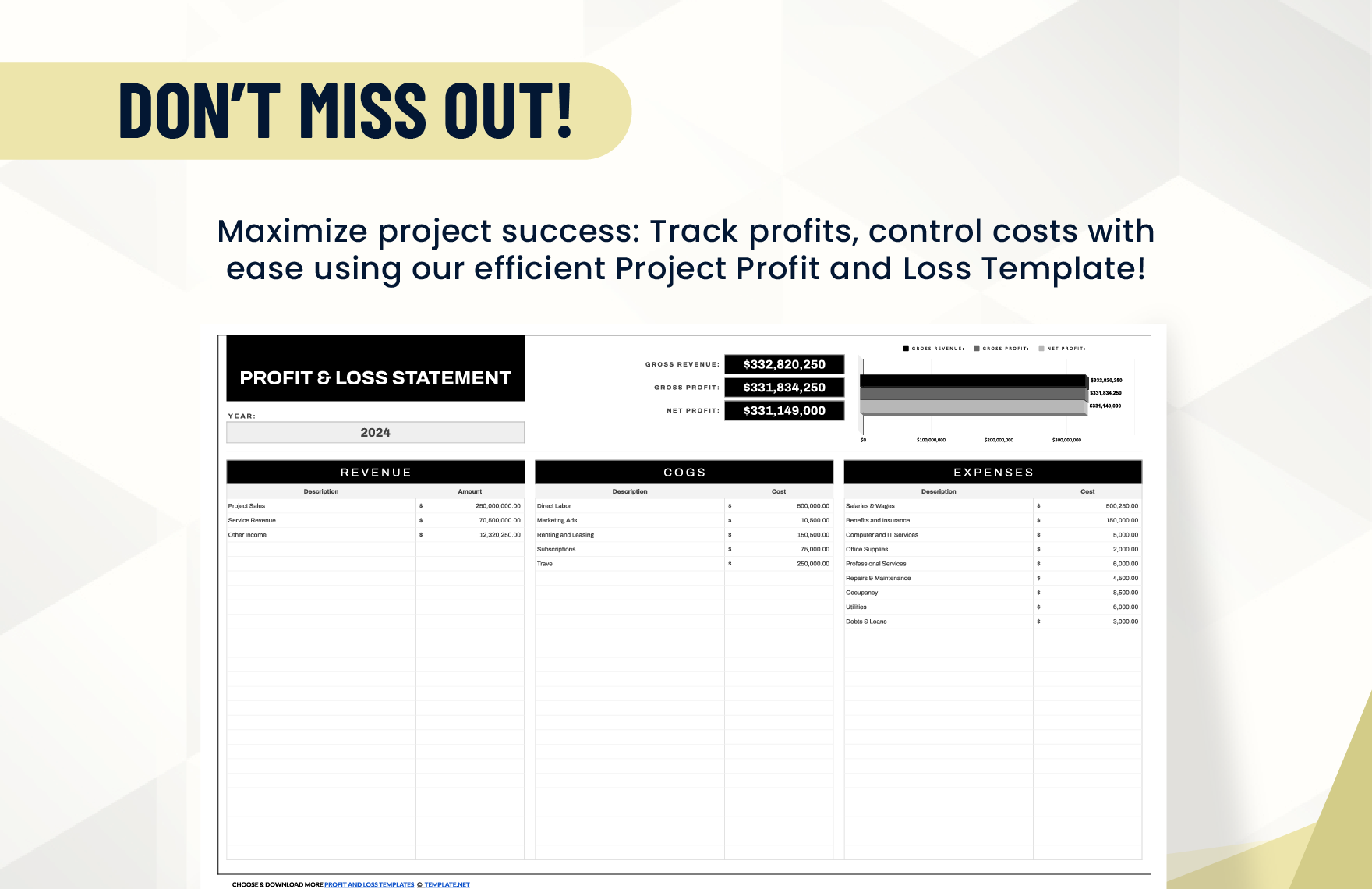 Project Profit And Loss Template