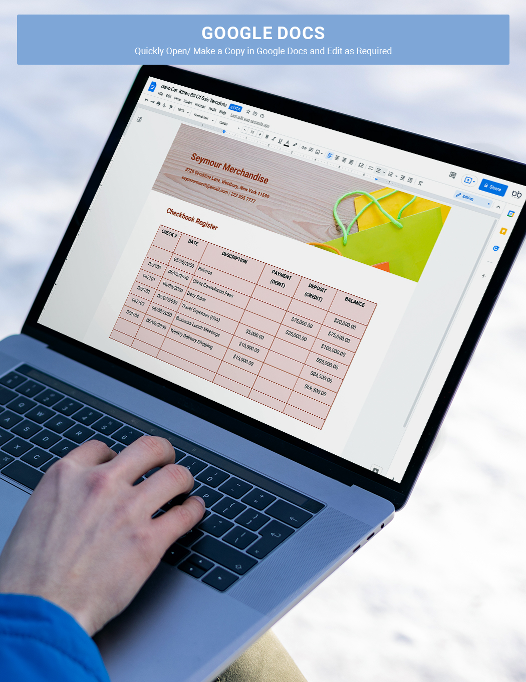Daily Check Book Register Template - Google Docs, Word | Template.net