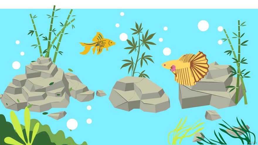 Free Stone Aquarium Background in Illustrator, EPS, SVG, JPG, PNG
