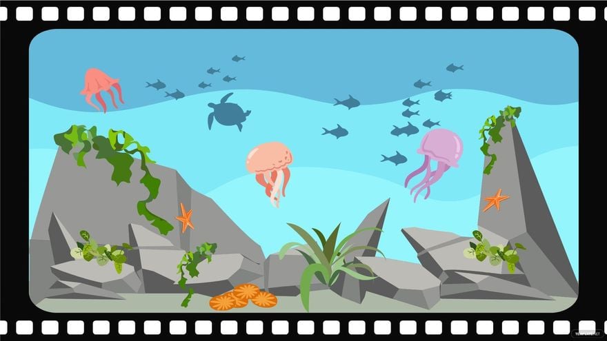 Aquarium Film Background in Illustrator, EPS, SVG, JPG, PNG