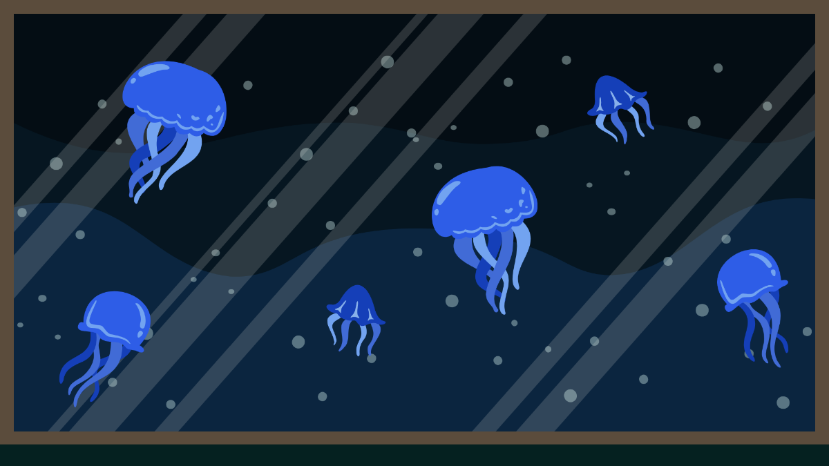 Blue Or Black Aquarium Background Template