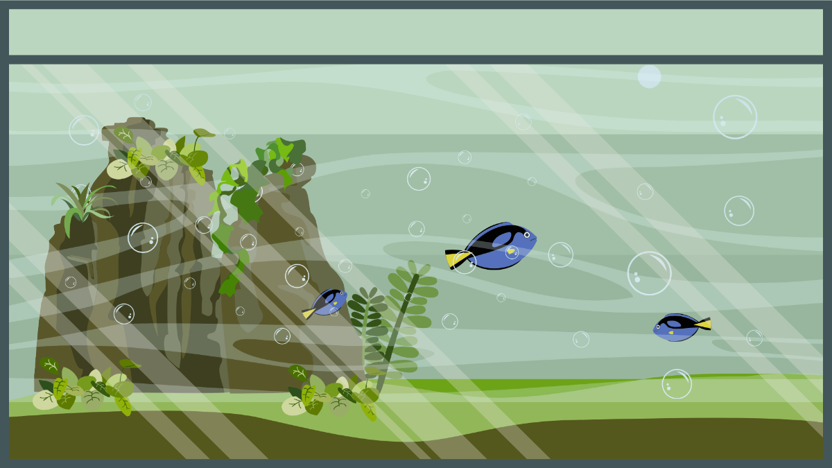 Freshwater Aquarium Background Template