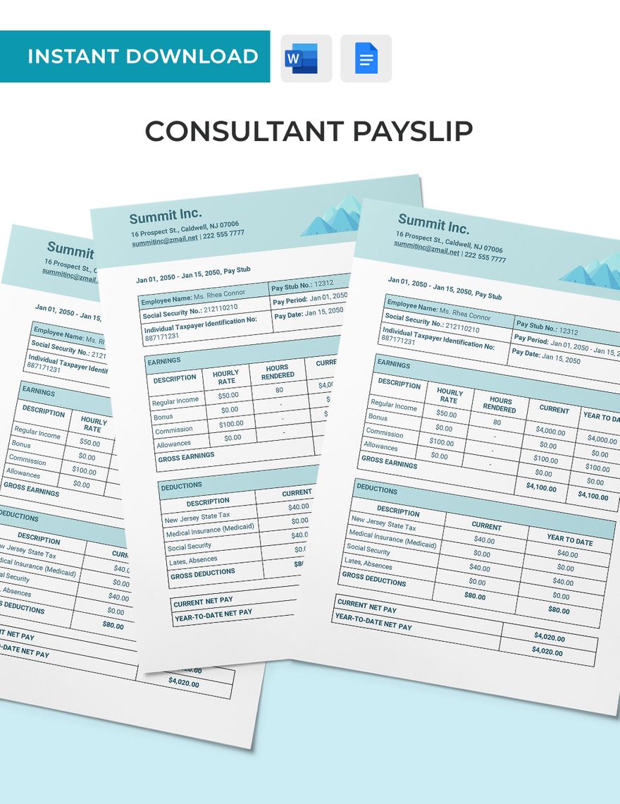 Consultant Payslip Template