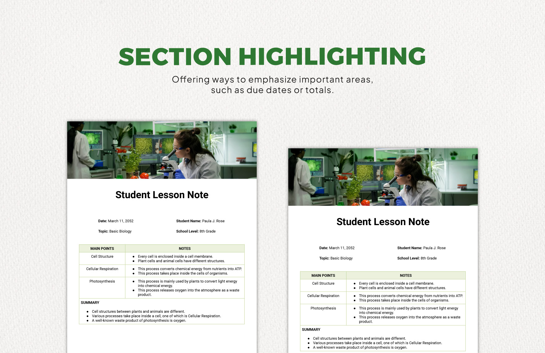 Student Lesson Note Template