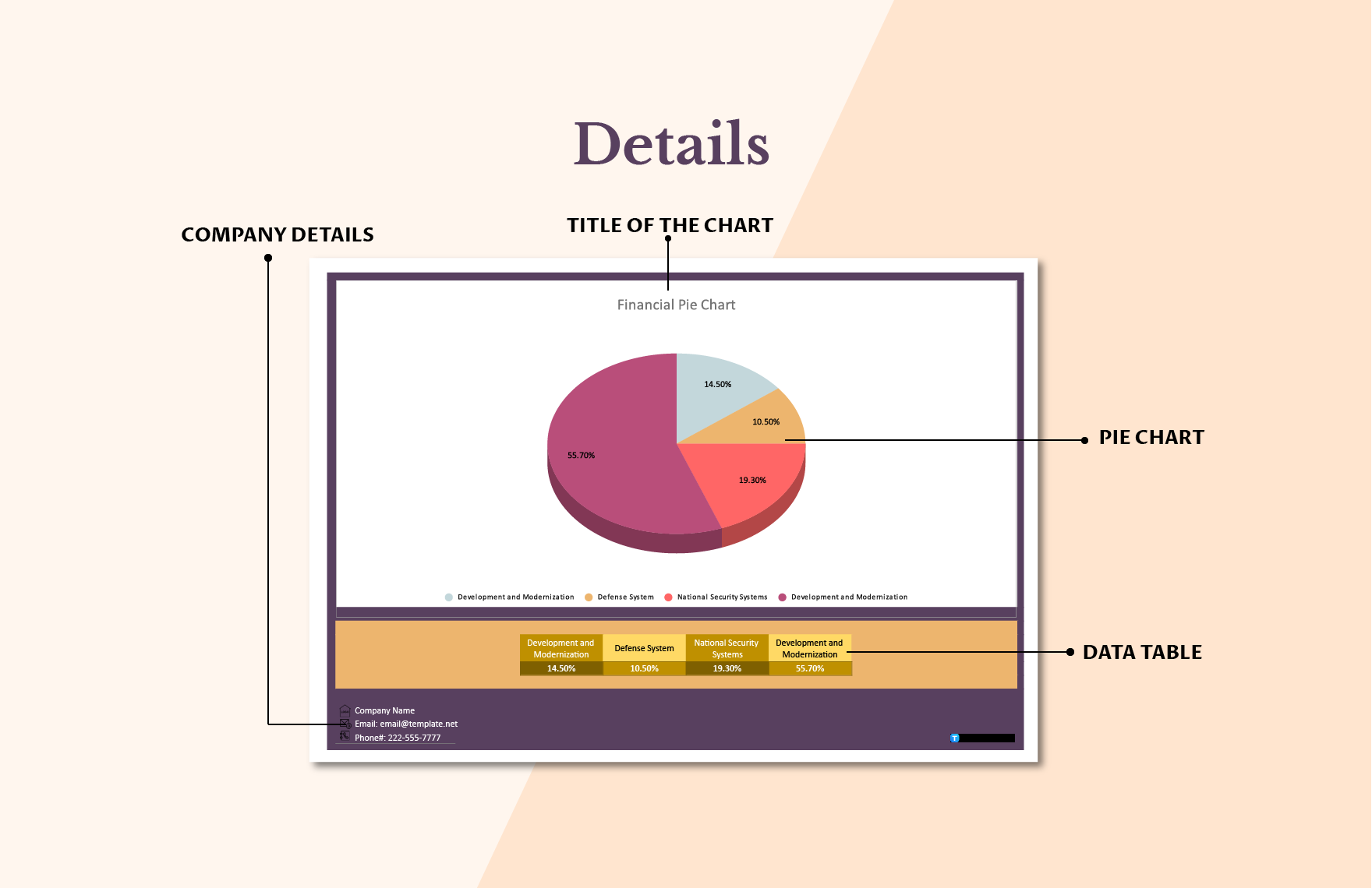 Financial Pie Chart