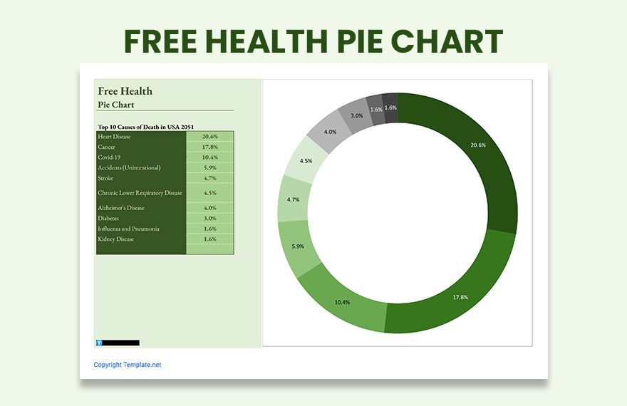 Free Health Pie Chart Google Sheets Excel Template Net