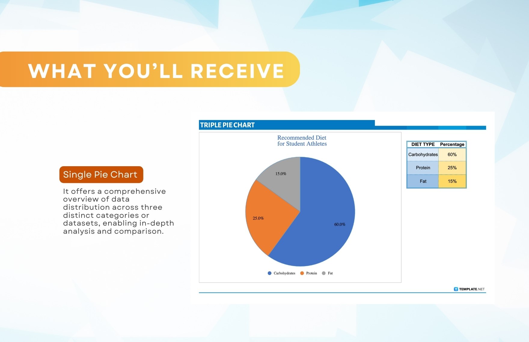 TRIPLE PIE CHART