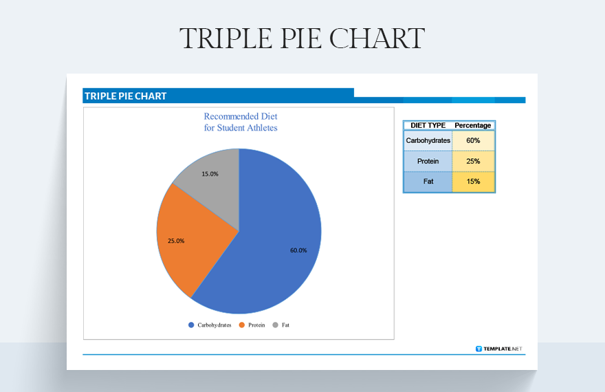TRIPLE PIE CHART Google Sheets Excel Template
