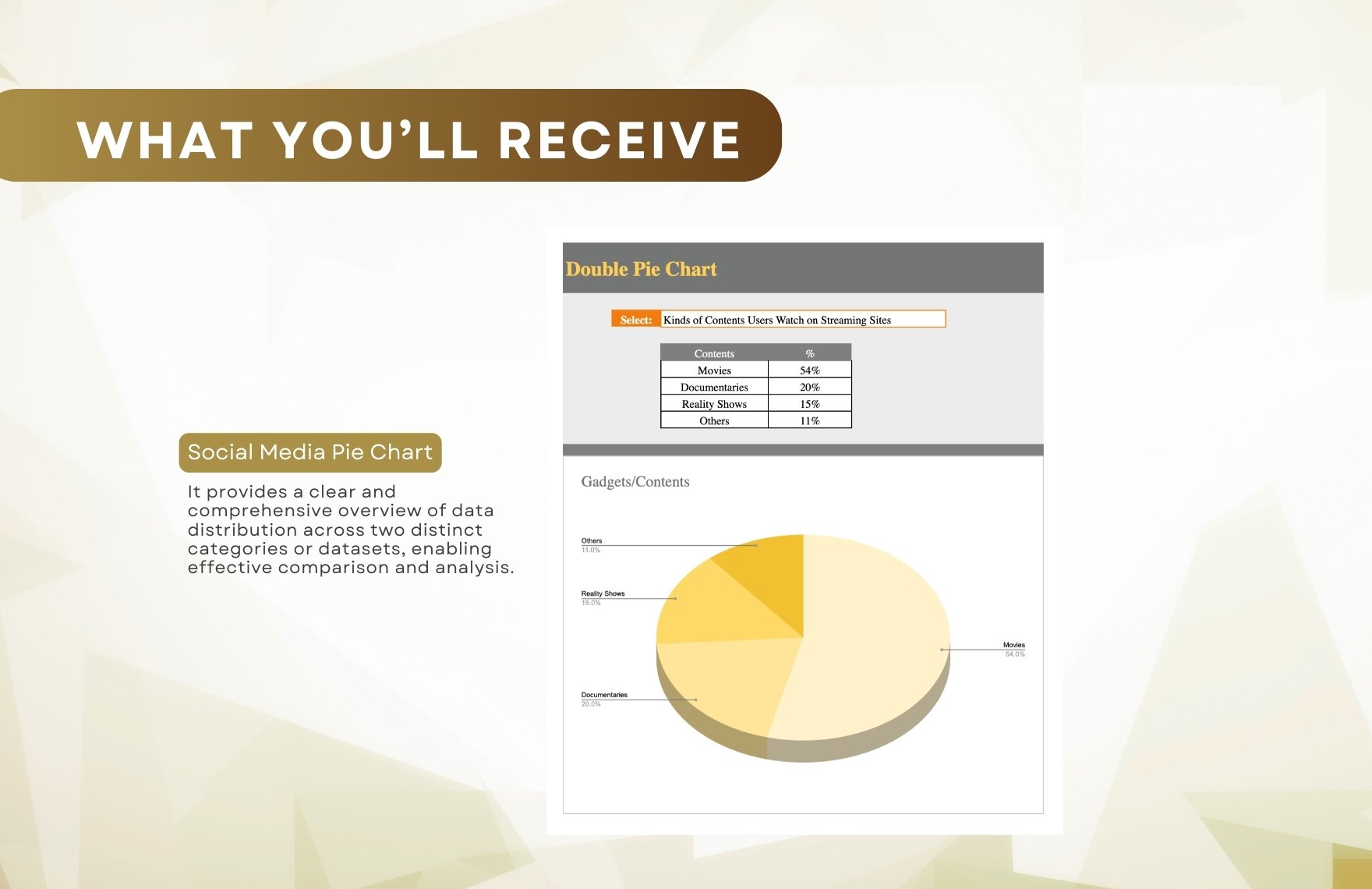 Double Pie Chart Template