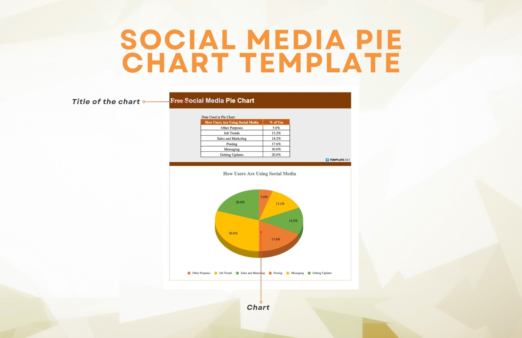 Social Media Pie Chart