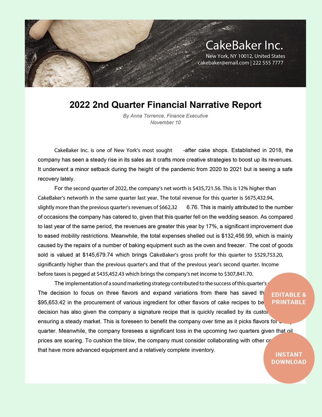 Financial Narrative Report Template