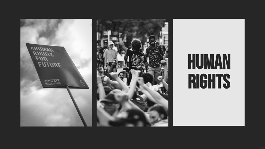 Human Rights Day Photo Background