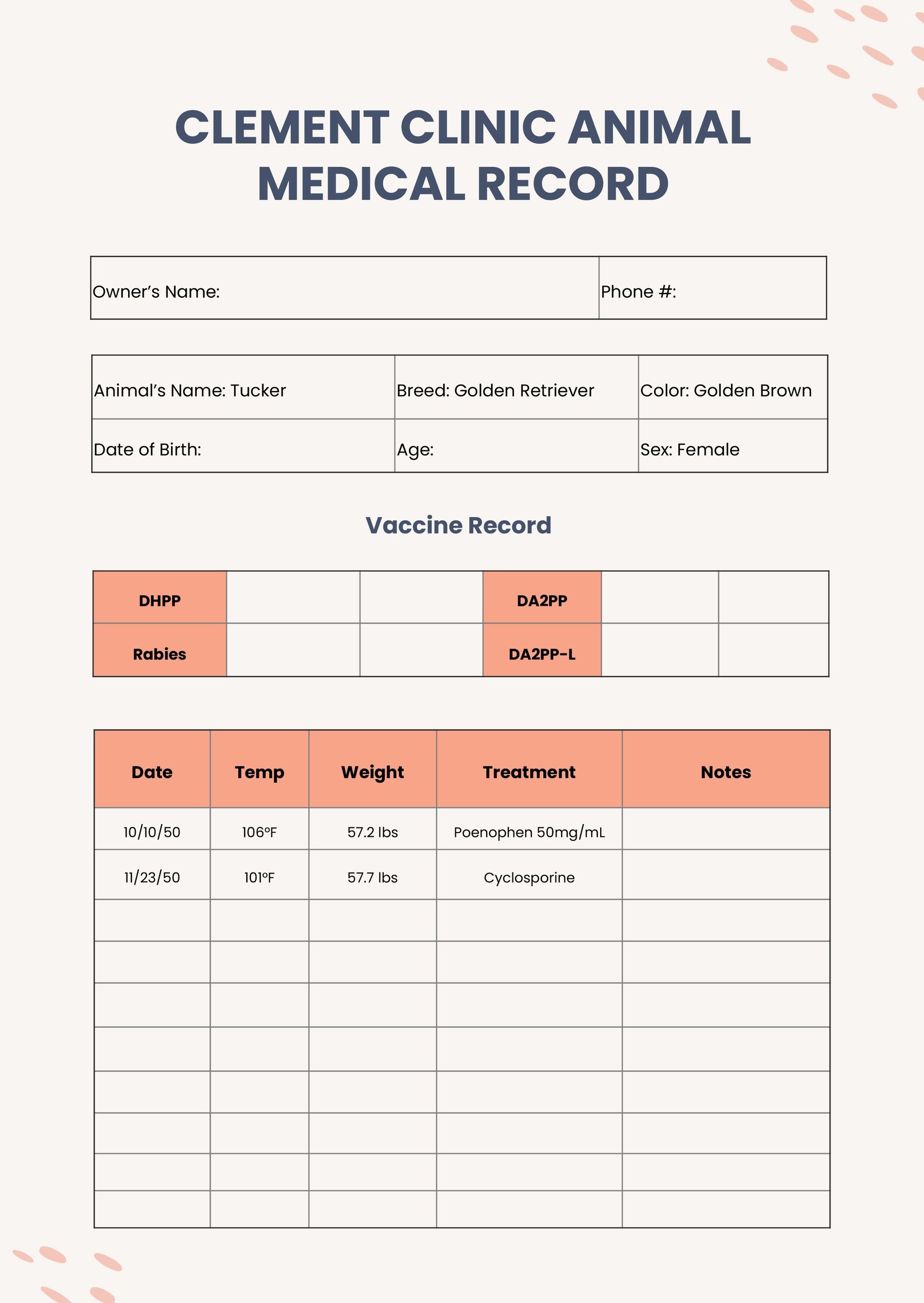 Veterinary Medical Chart Template