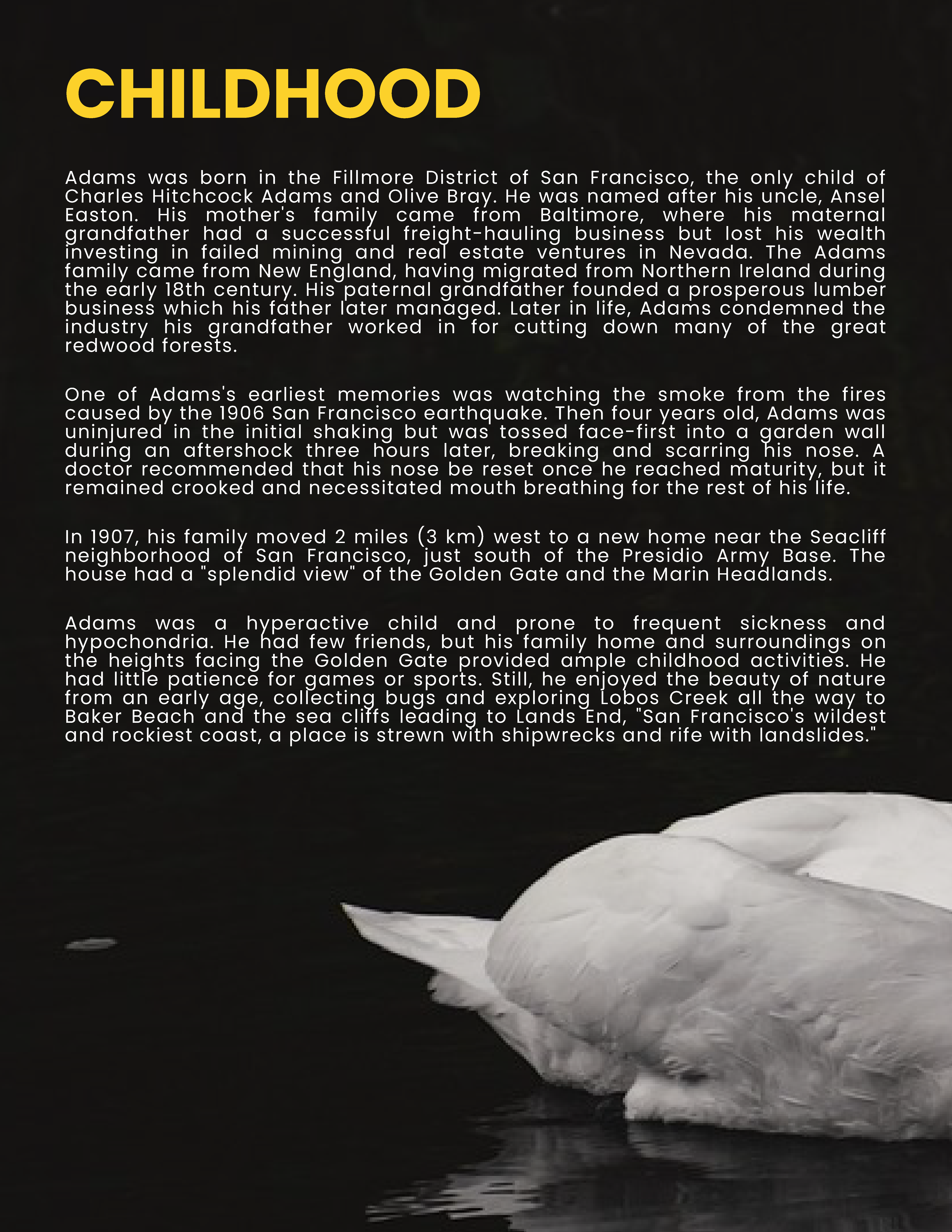 Free Photographer Biography Template to Edit Online