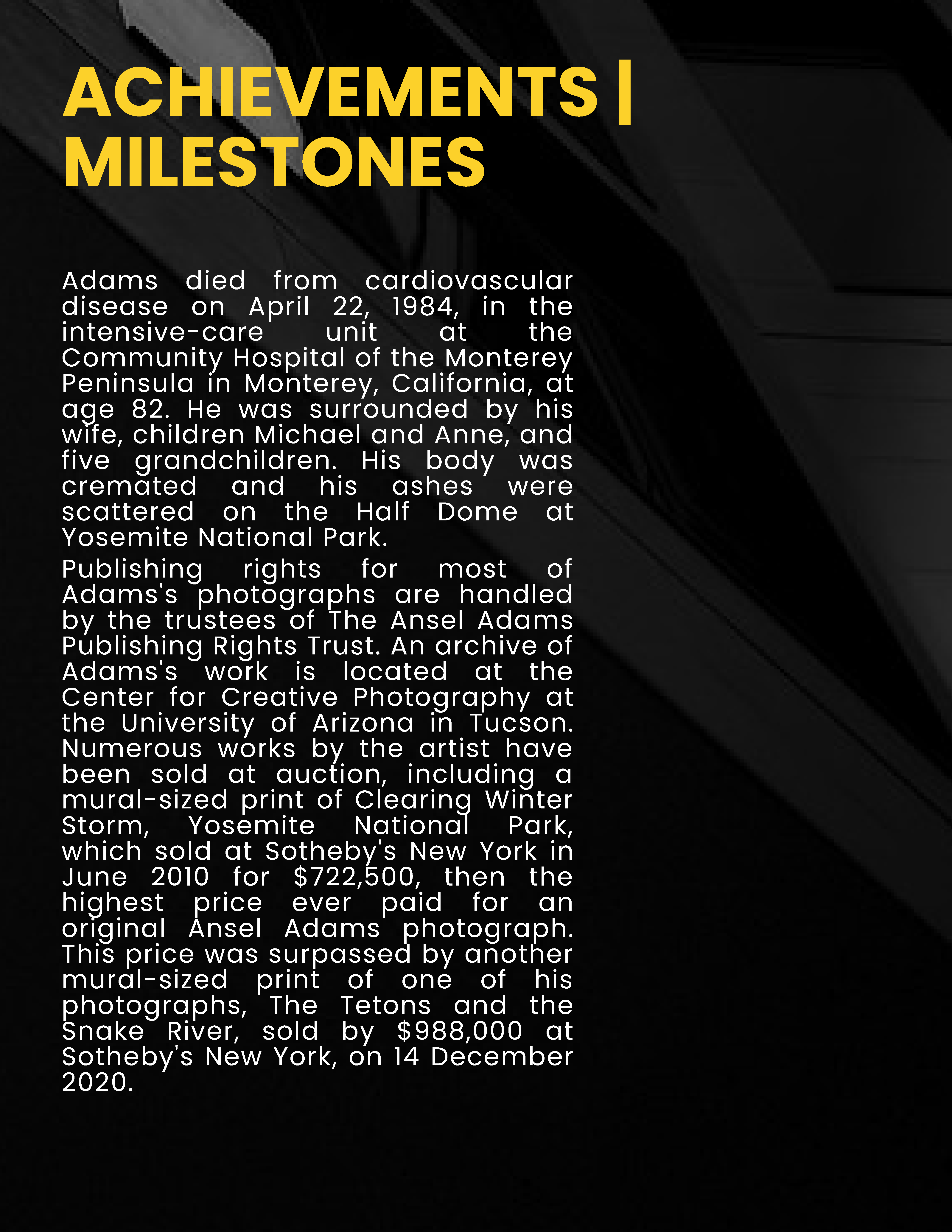 Free Photographer Biography Template to Edit Online