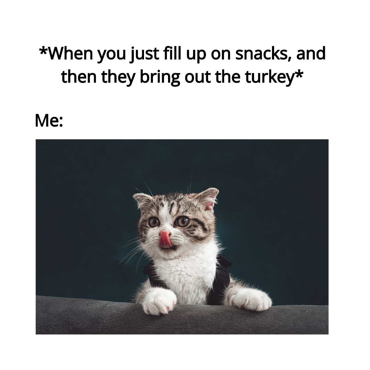 Happy Thanksgiving Day Meme Template