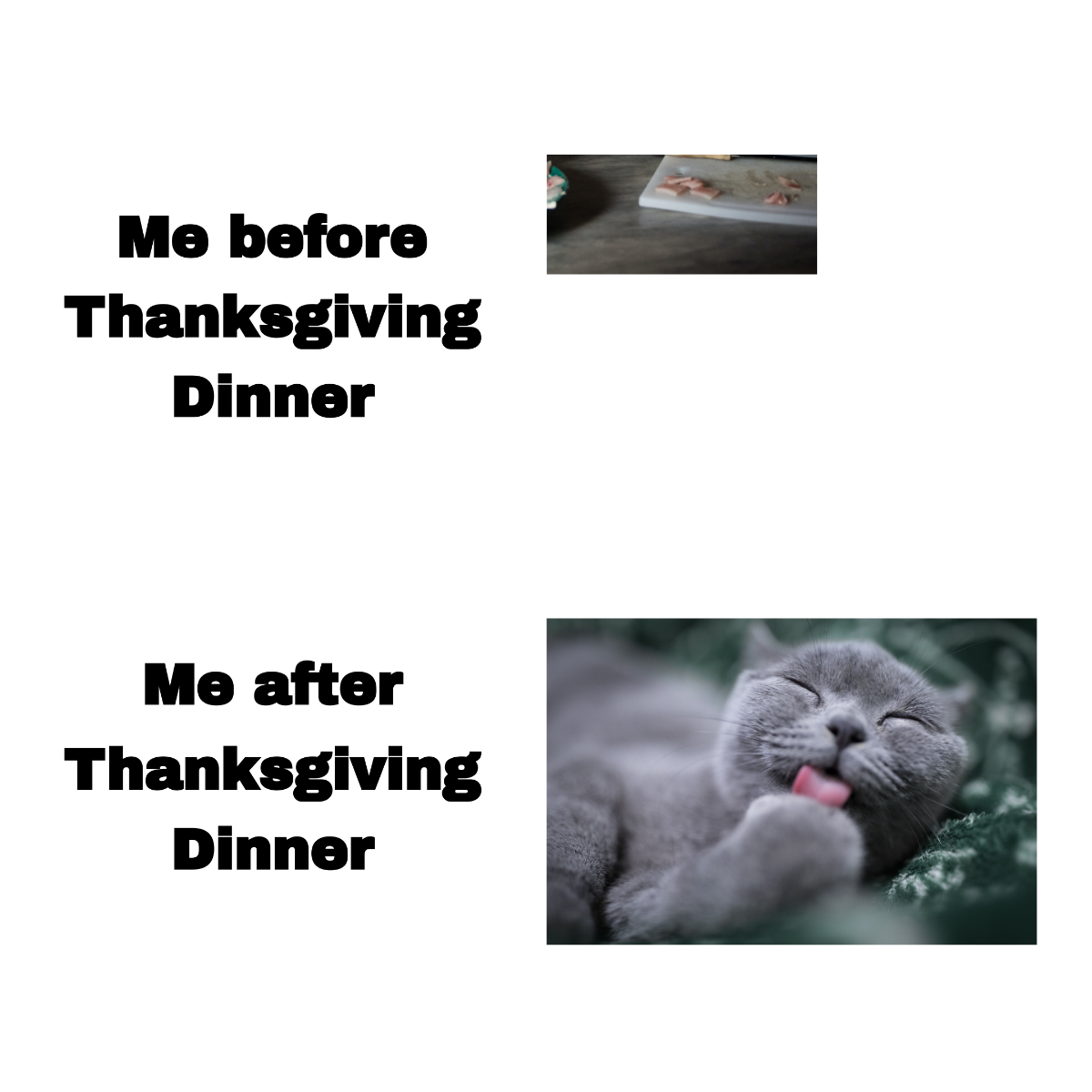 Funny Thanksgiving Day Meme Template