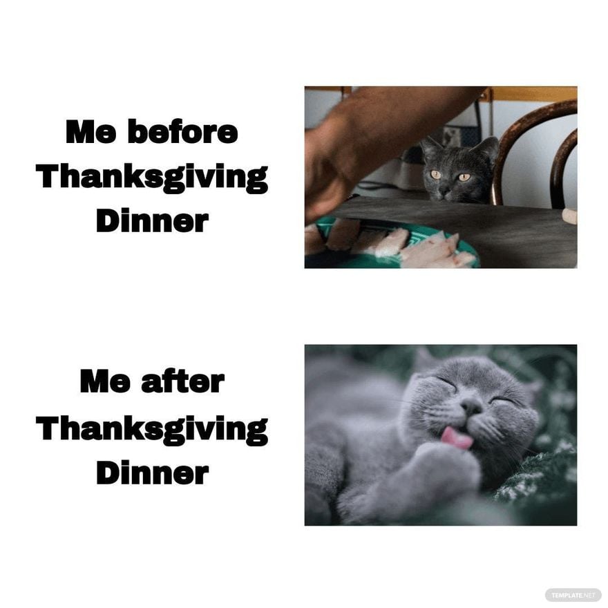 Funny Thanksgiving Day Meme