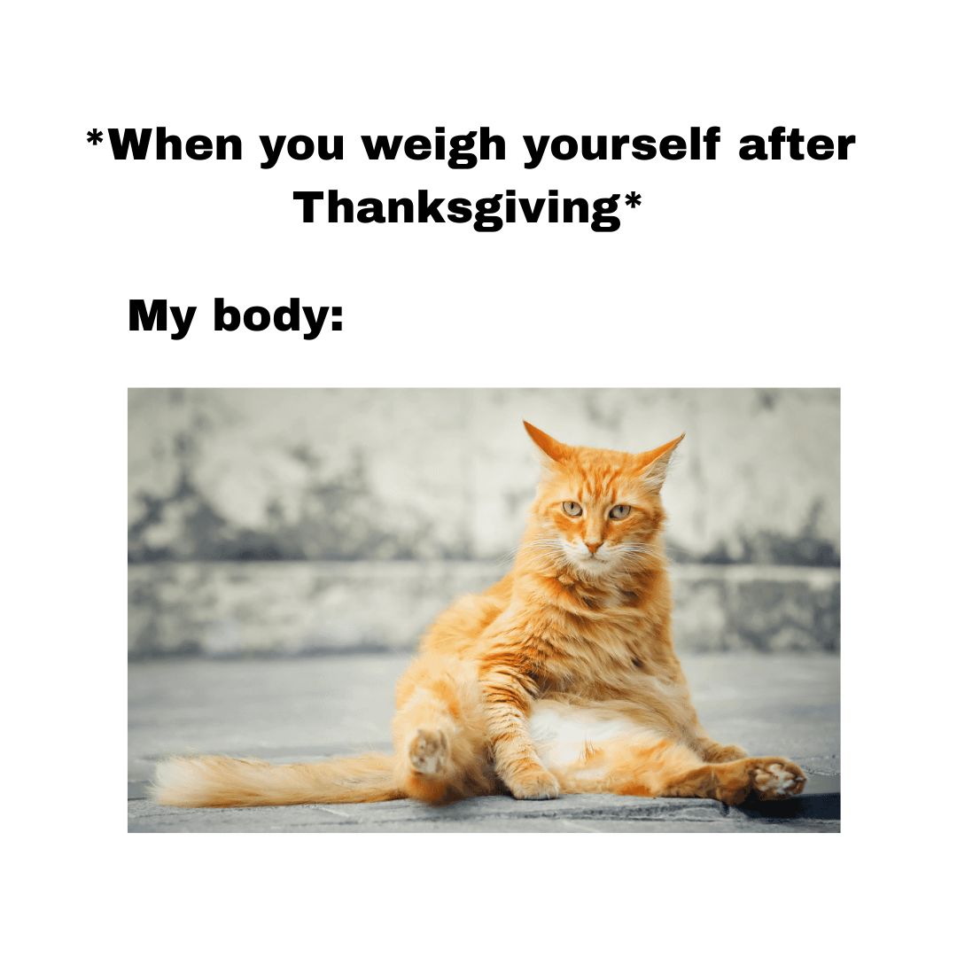 Free Happy Thanksgiving Day Meme Download in JPG