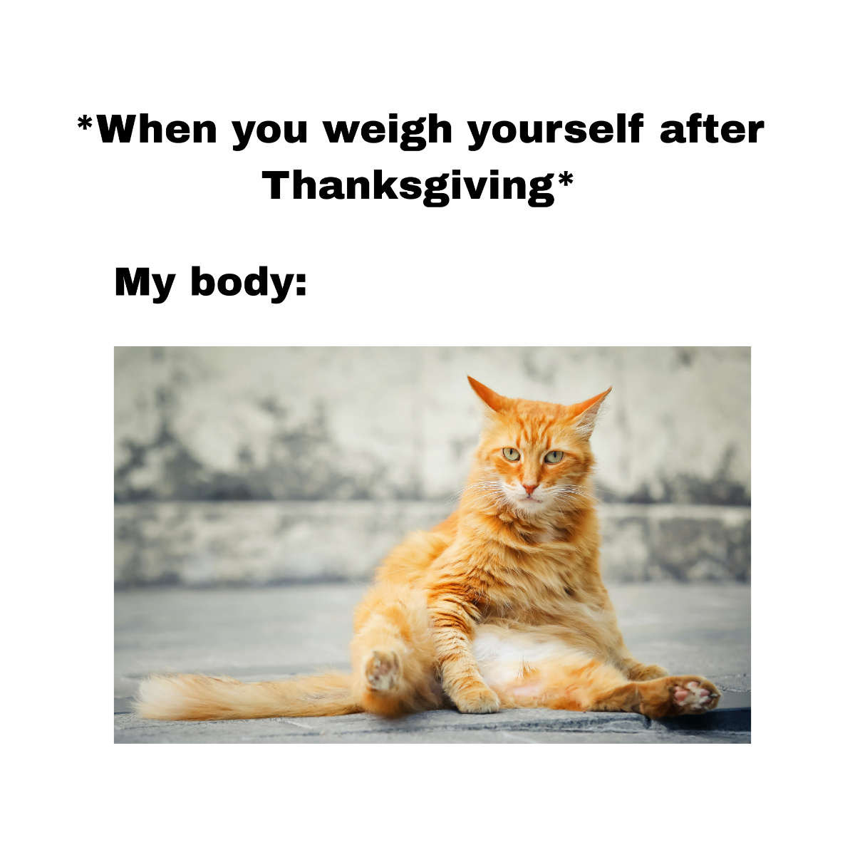 Day After Thanksgiving Meme Template