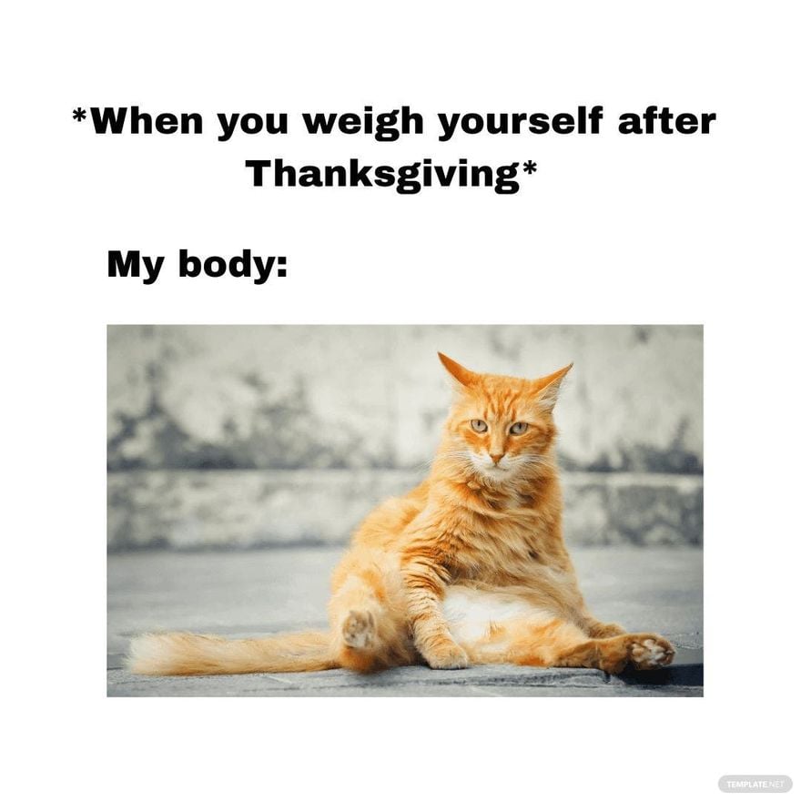 Day After Thanksgiving Meme