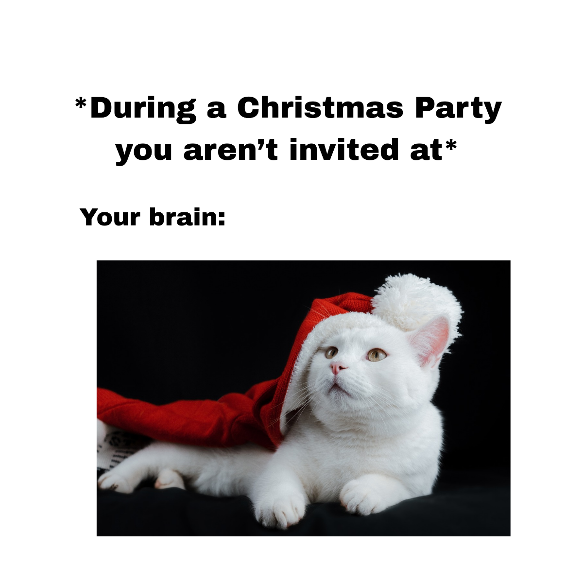 Free Christmas Party Meme