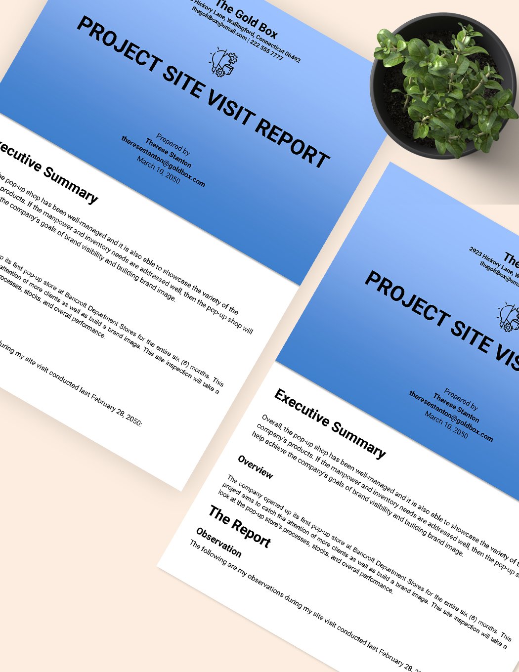Project Site Visit Report Template