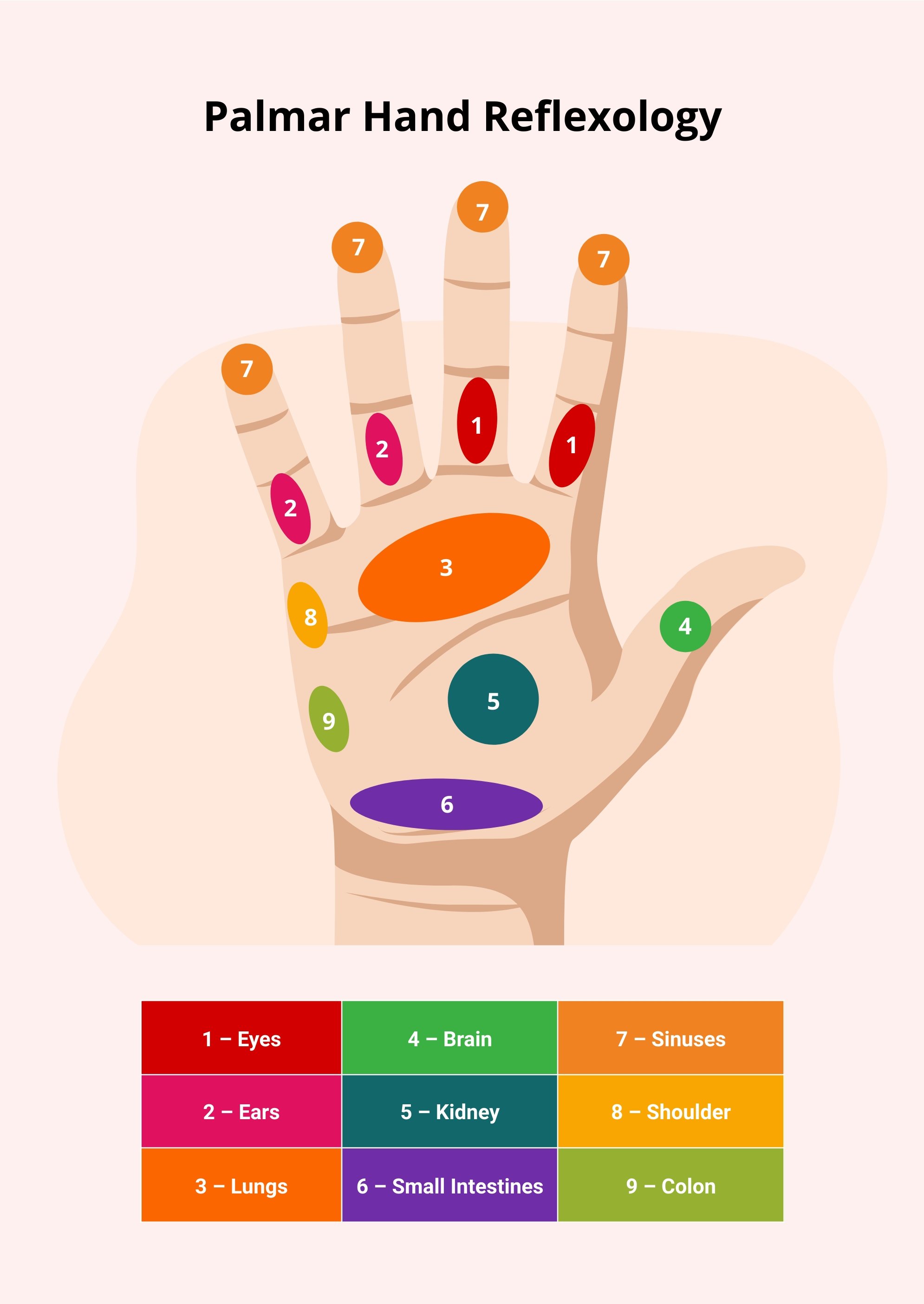 Free Hand Reflexology Chart Download in PDF, Illustrator