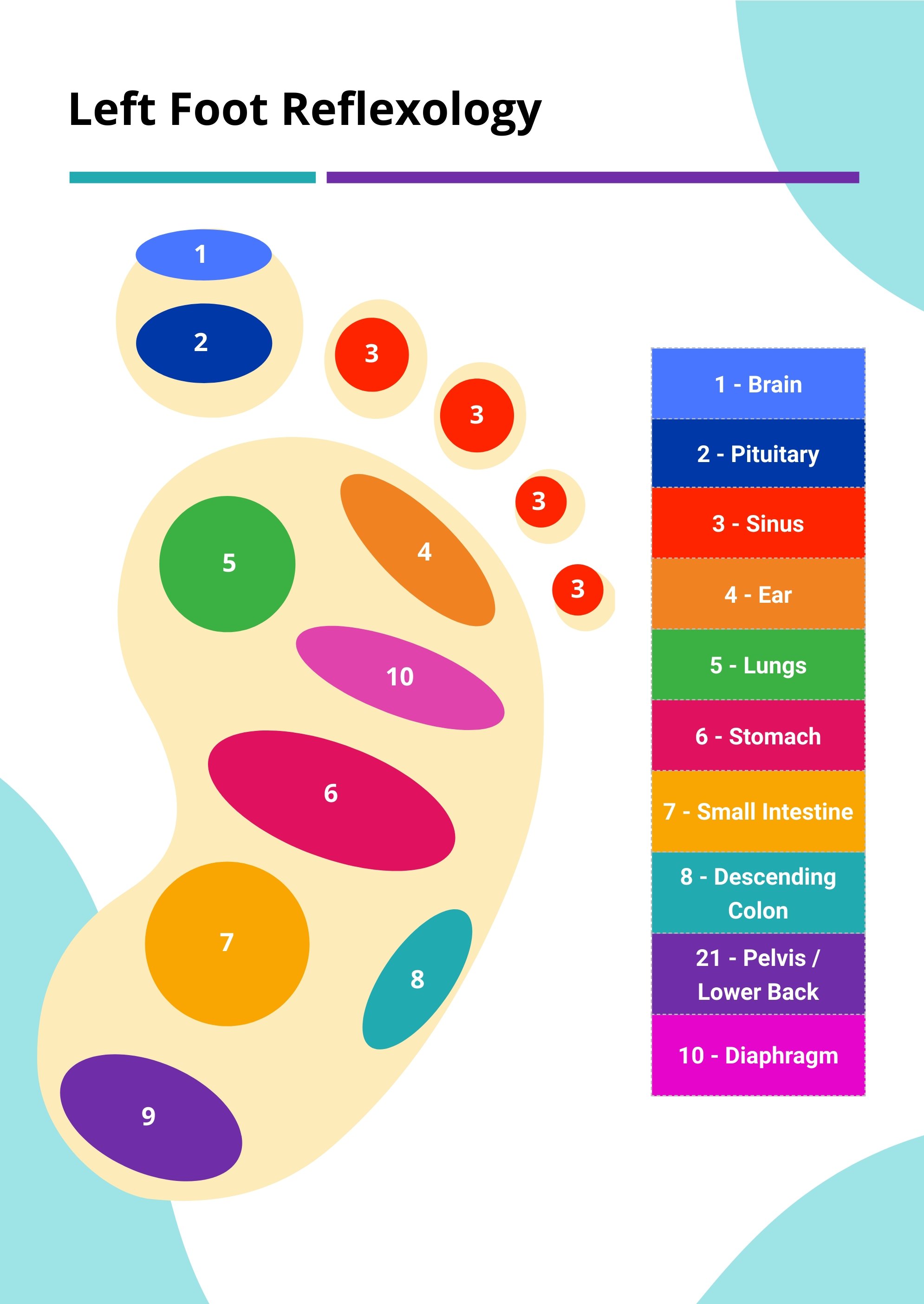 Foot Reflexology Chart in PDF, Illustrator