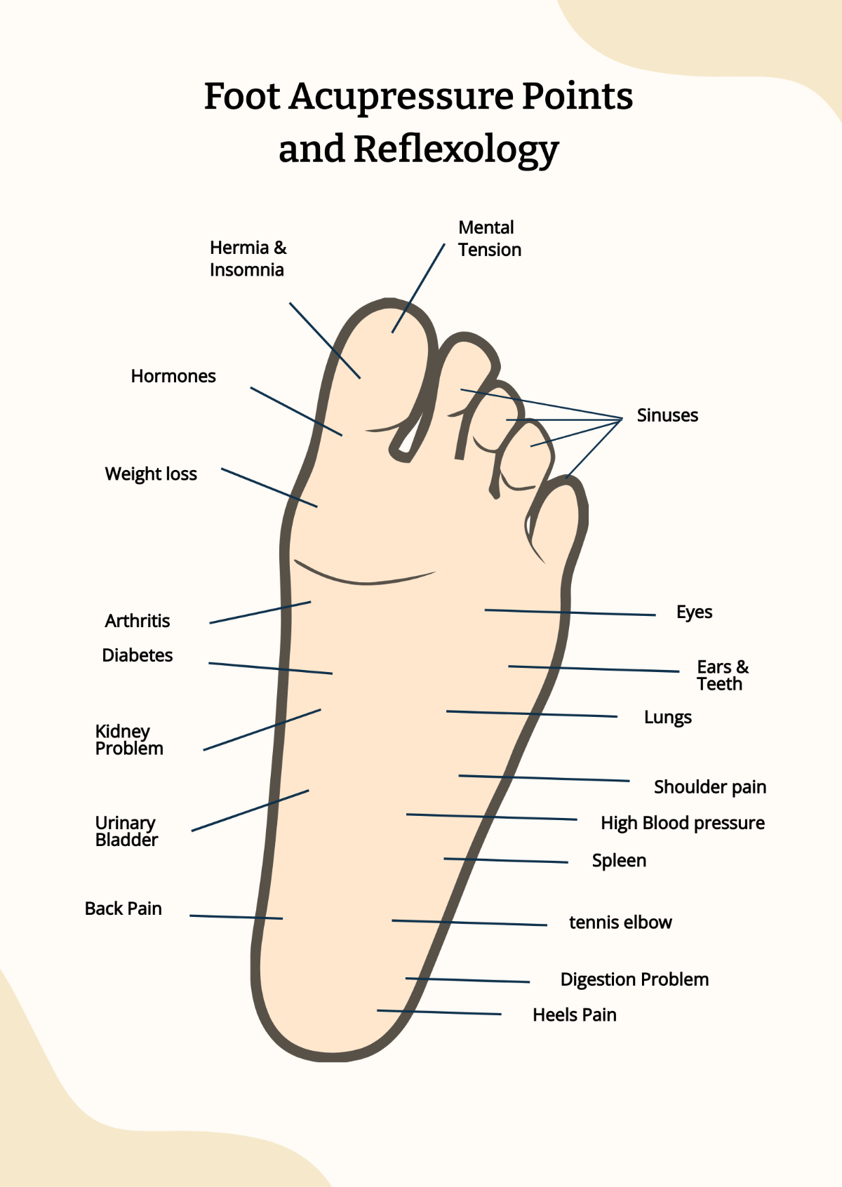 Foot Acupressure And Reflexology Chart Template