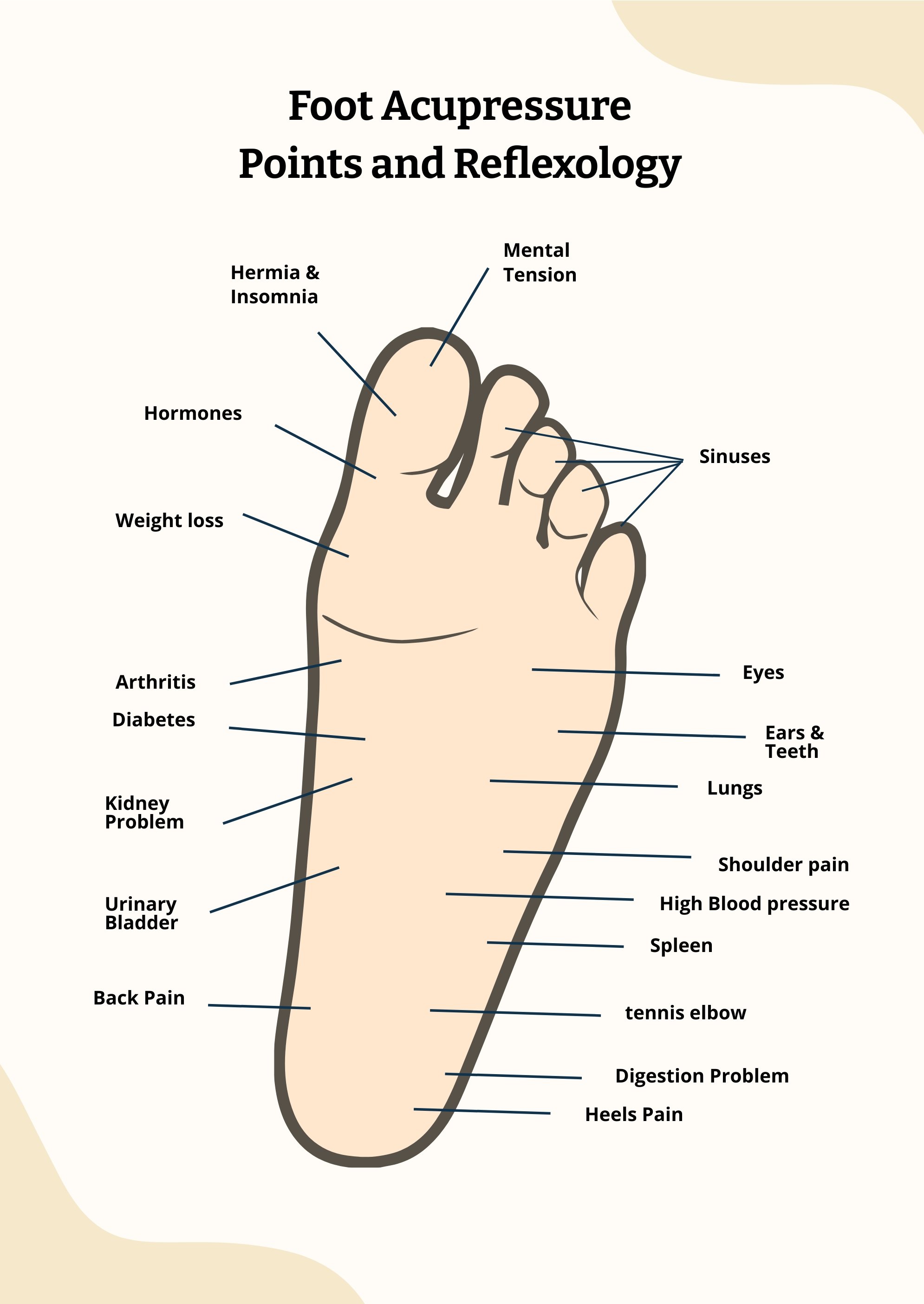 Foot Acupressure And Reflexology Chart in PDF, Illustrator