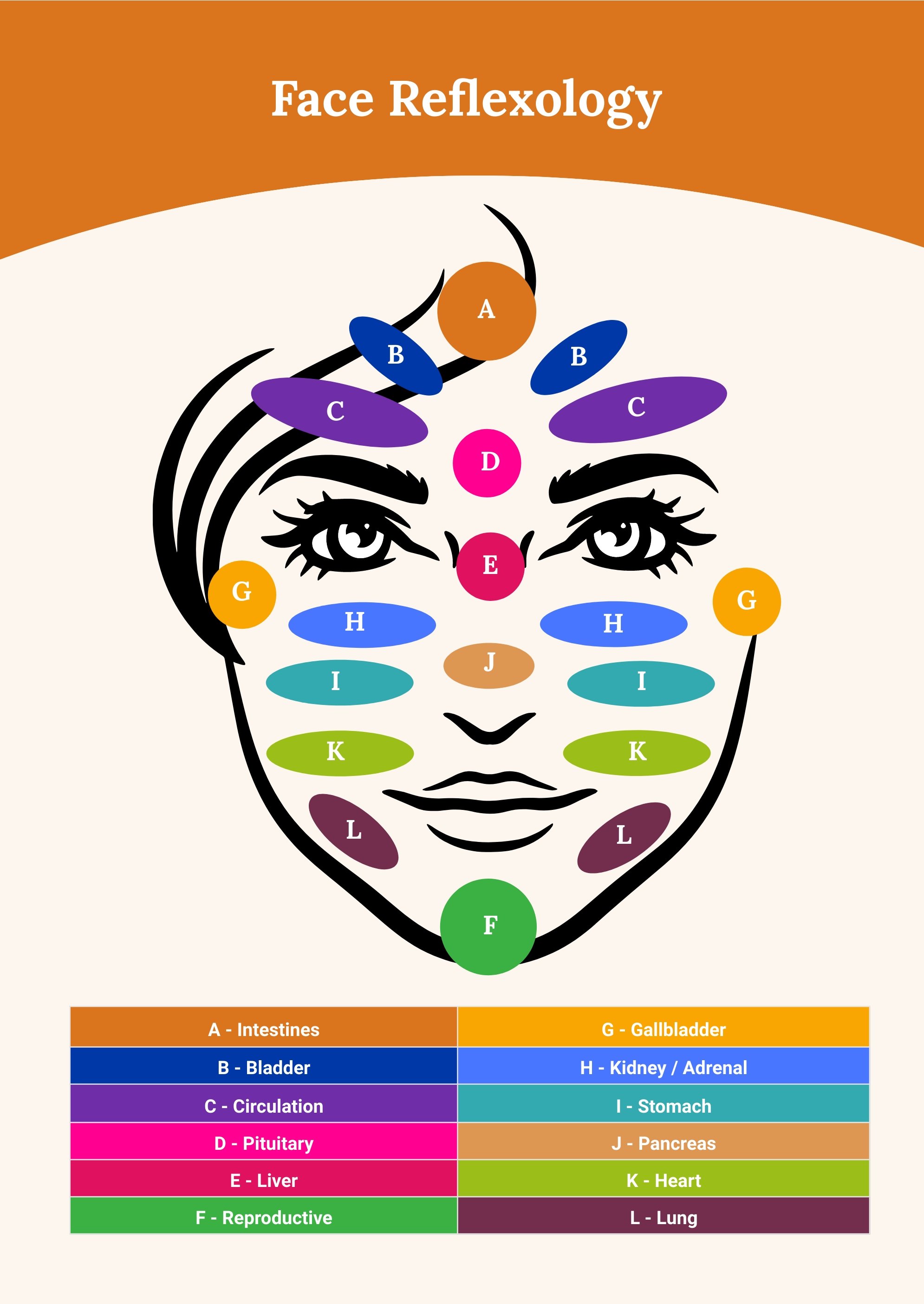 Free Face Reflexology Chart Illustrator Pdf
