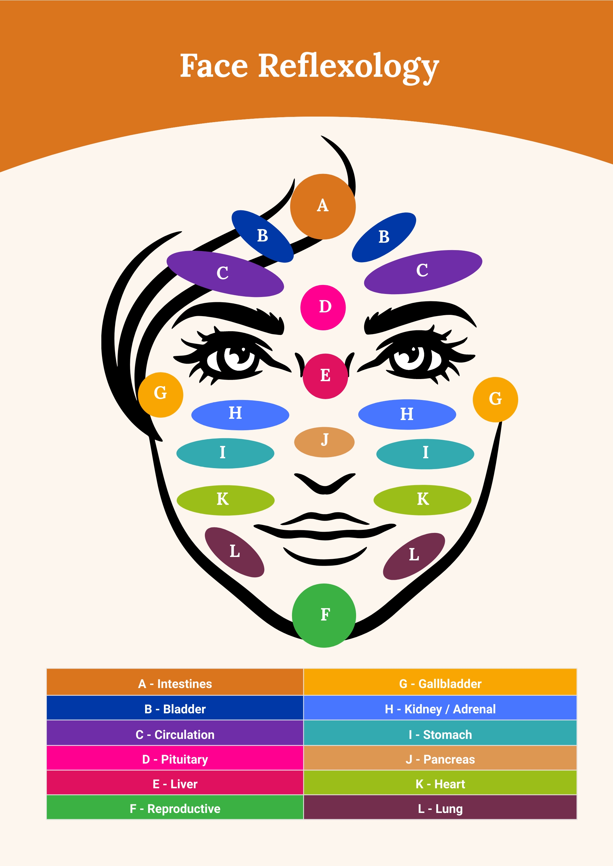 Free Face Reflexology Chart in PDF, Illustrator