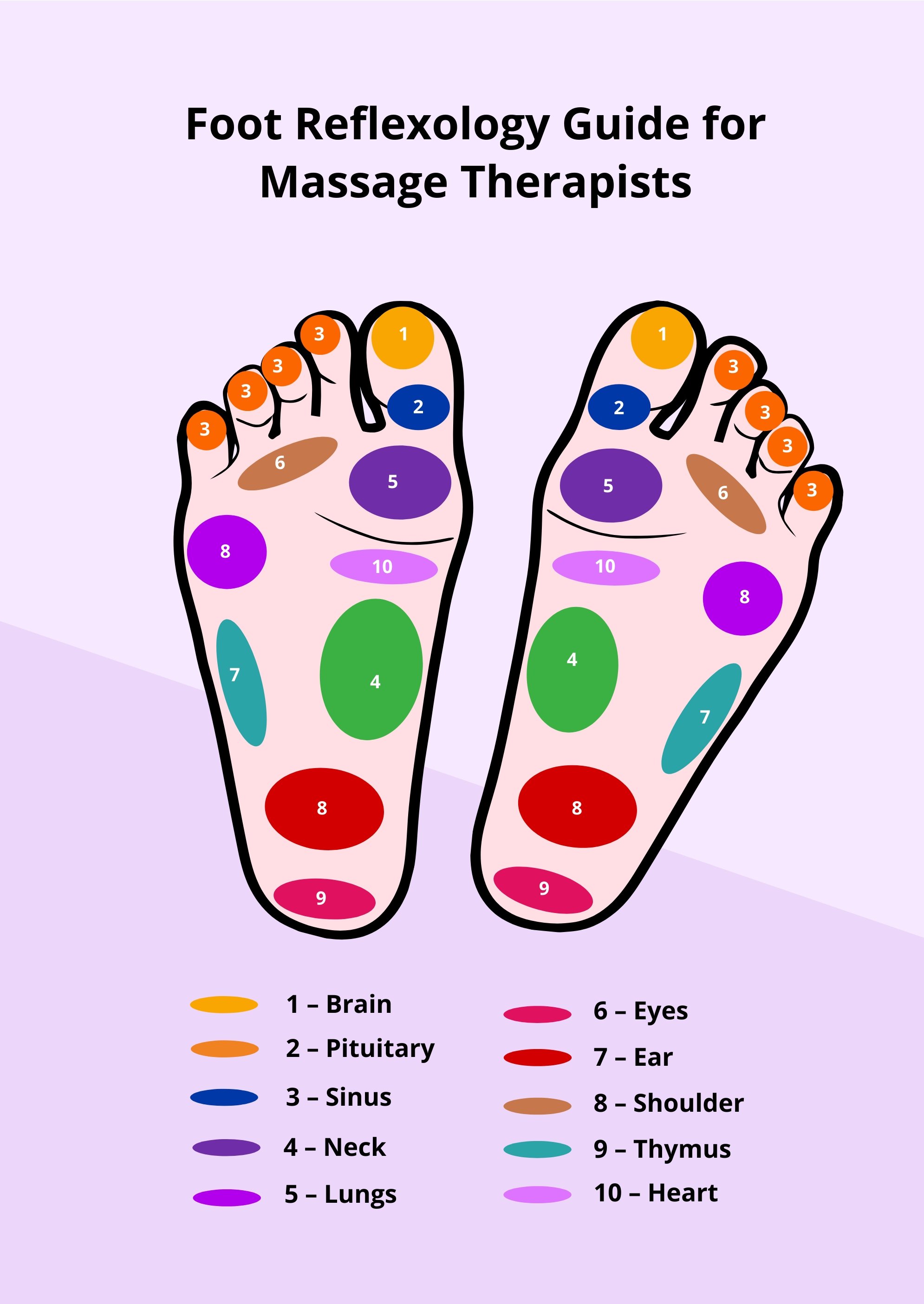 Massage Therapist Foot Reflexology Chart