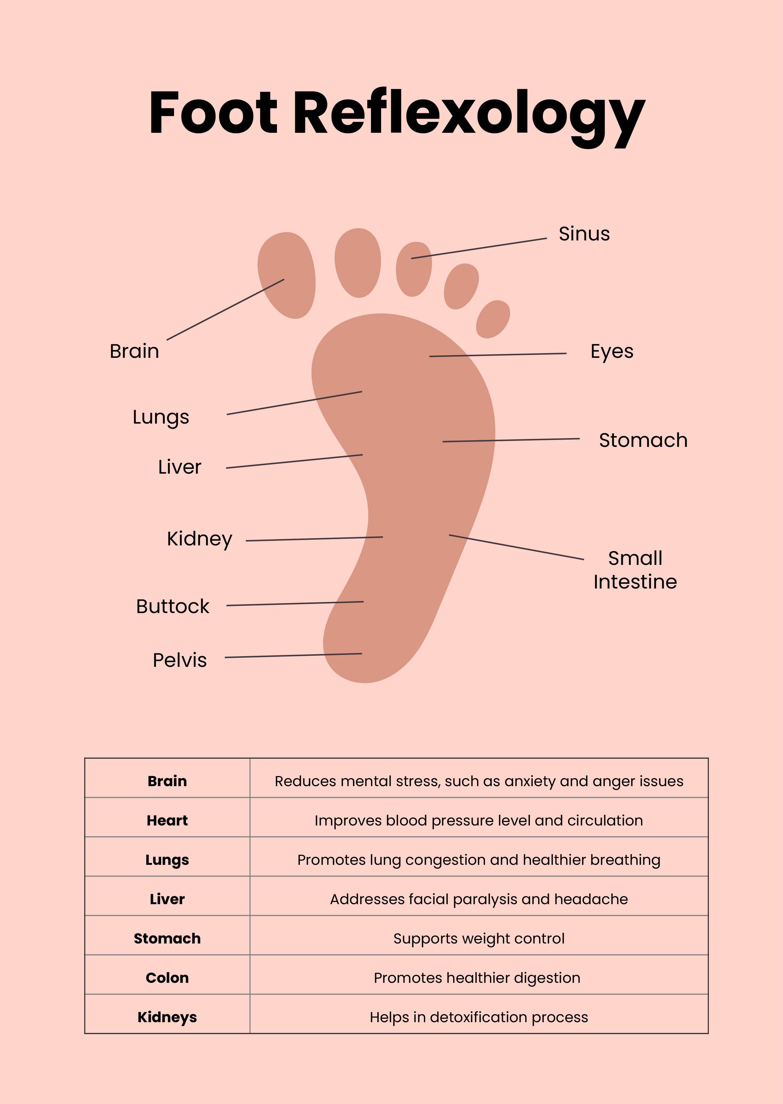 Free Foot Acupressure And Reflexology Chart Download In PDF 