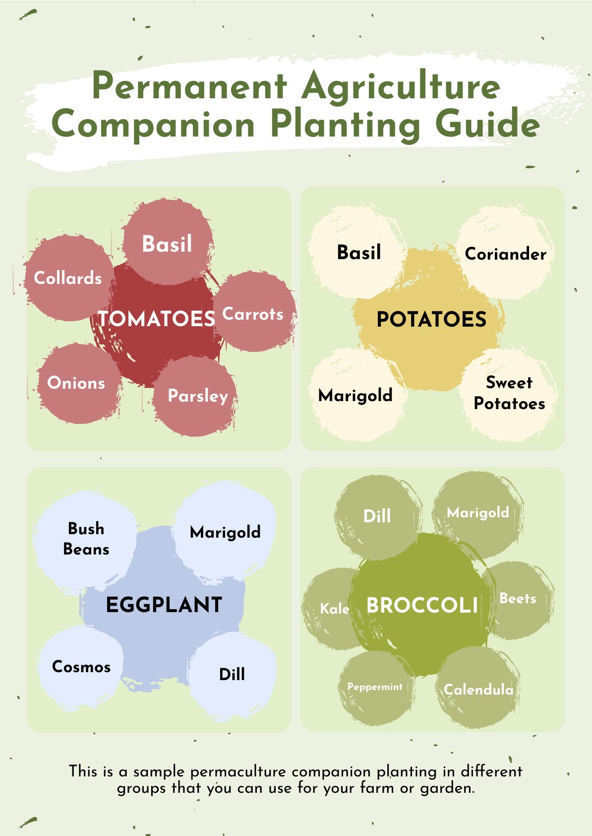 Permaculture Companion Planting Chart in PDF, Illustrator
