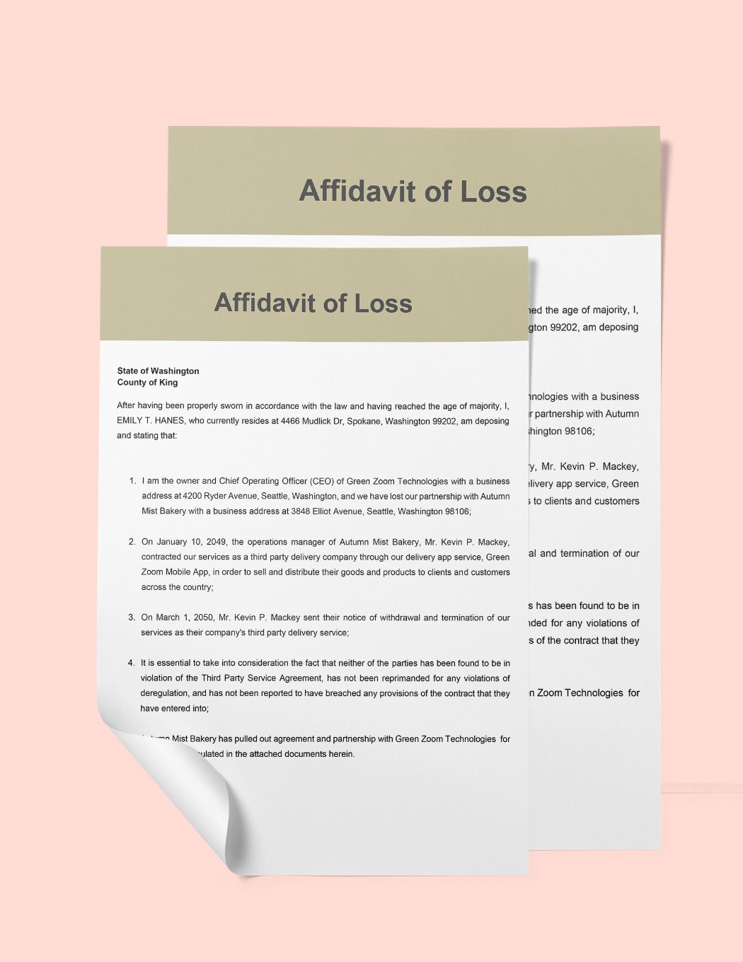 Third Party Loss Affidavit Template in Word, Google Docs, PDF