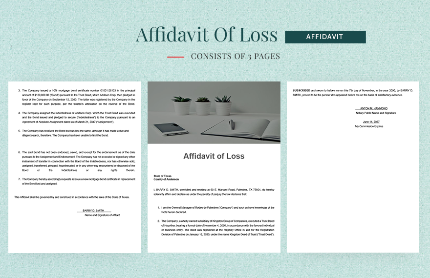 Affidavit Of Loss Format