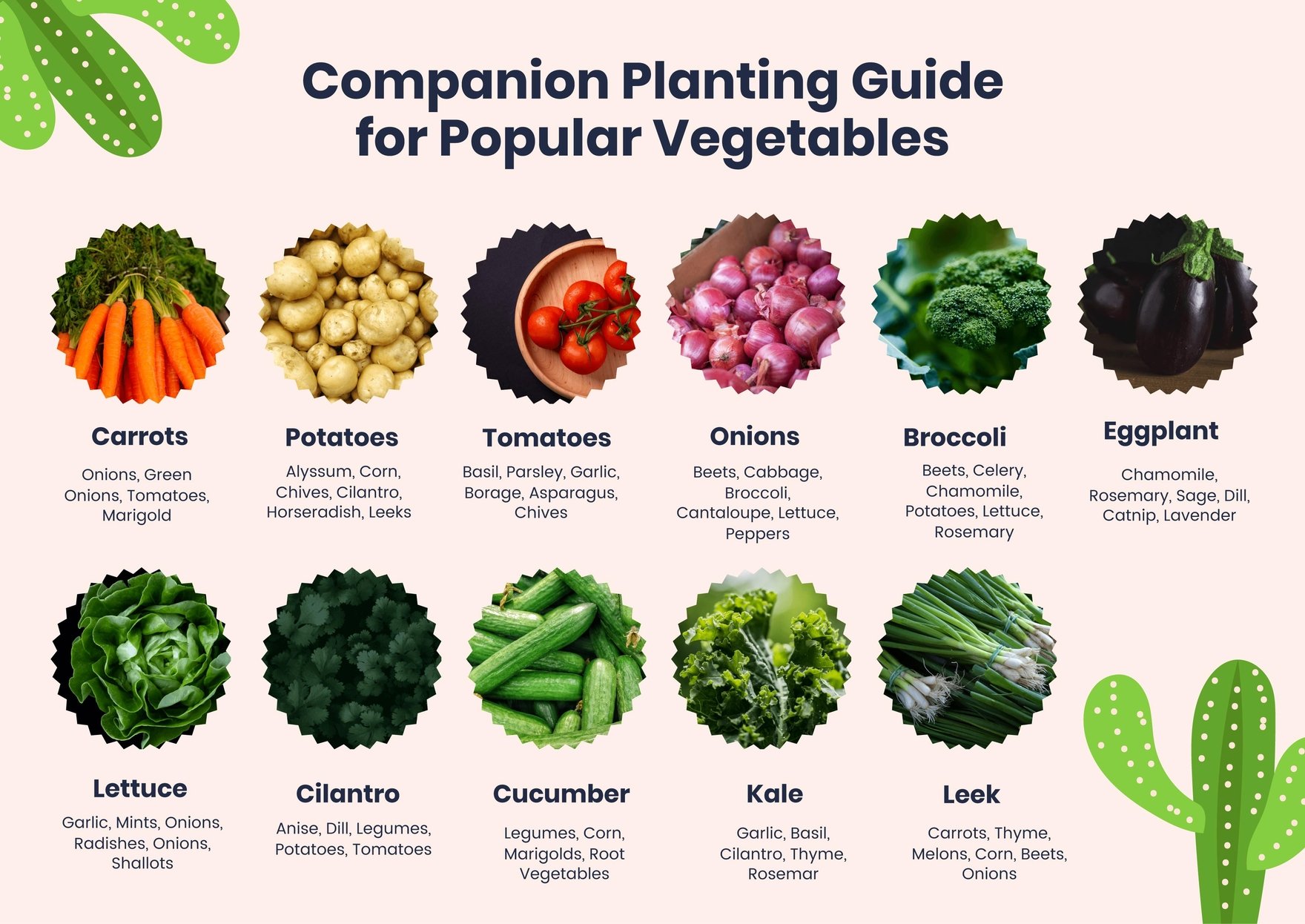 Companion Planting Chart For Popular Vegetables in PDF, Illustrator
