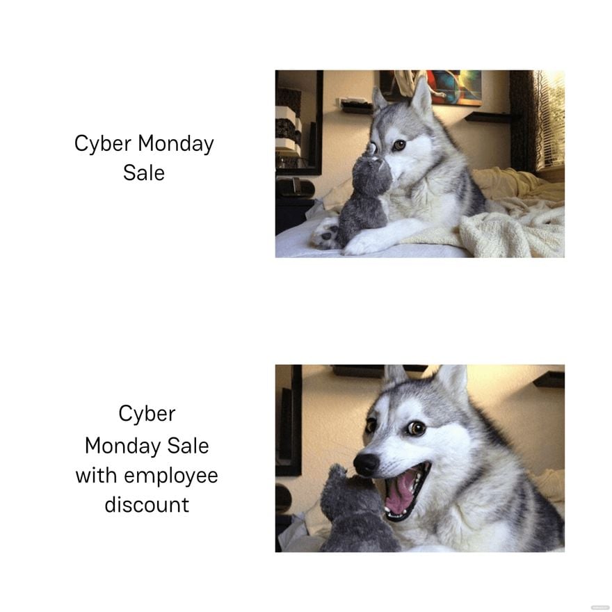 Free Cyber Monday Discount Meme in JPEG