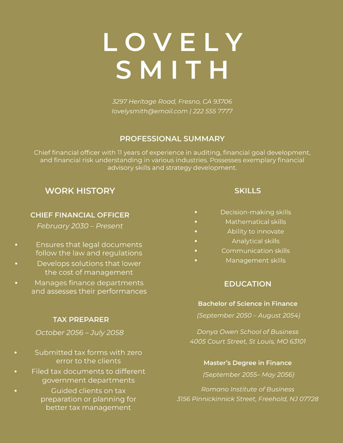 Sample Chief Financial Officer Resume Template