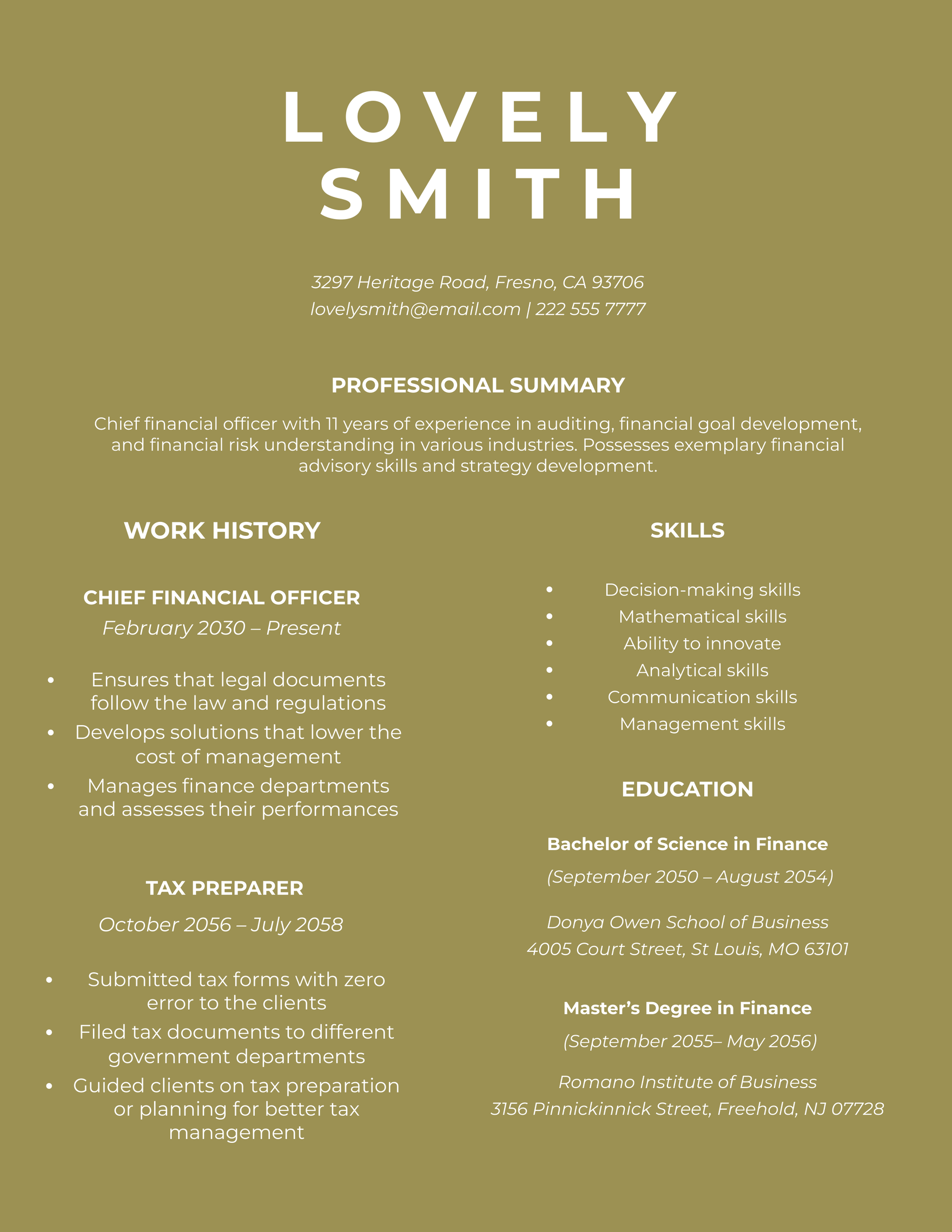 Sample Chief Financial Officer Resume