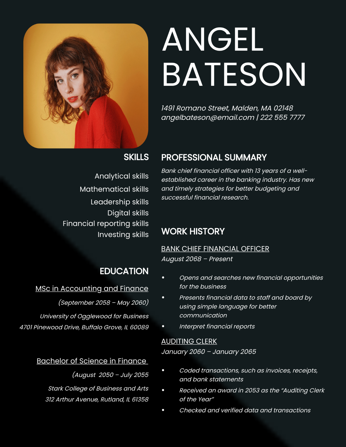 Bank Chief Financial Officer Resume Template