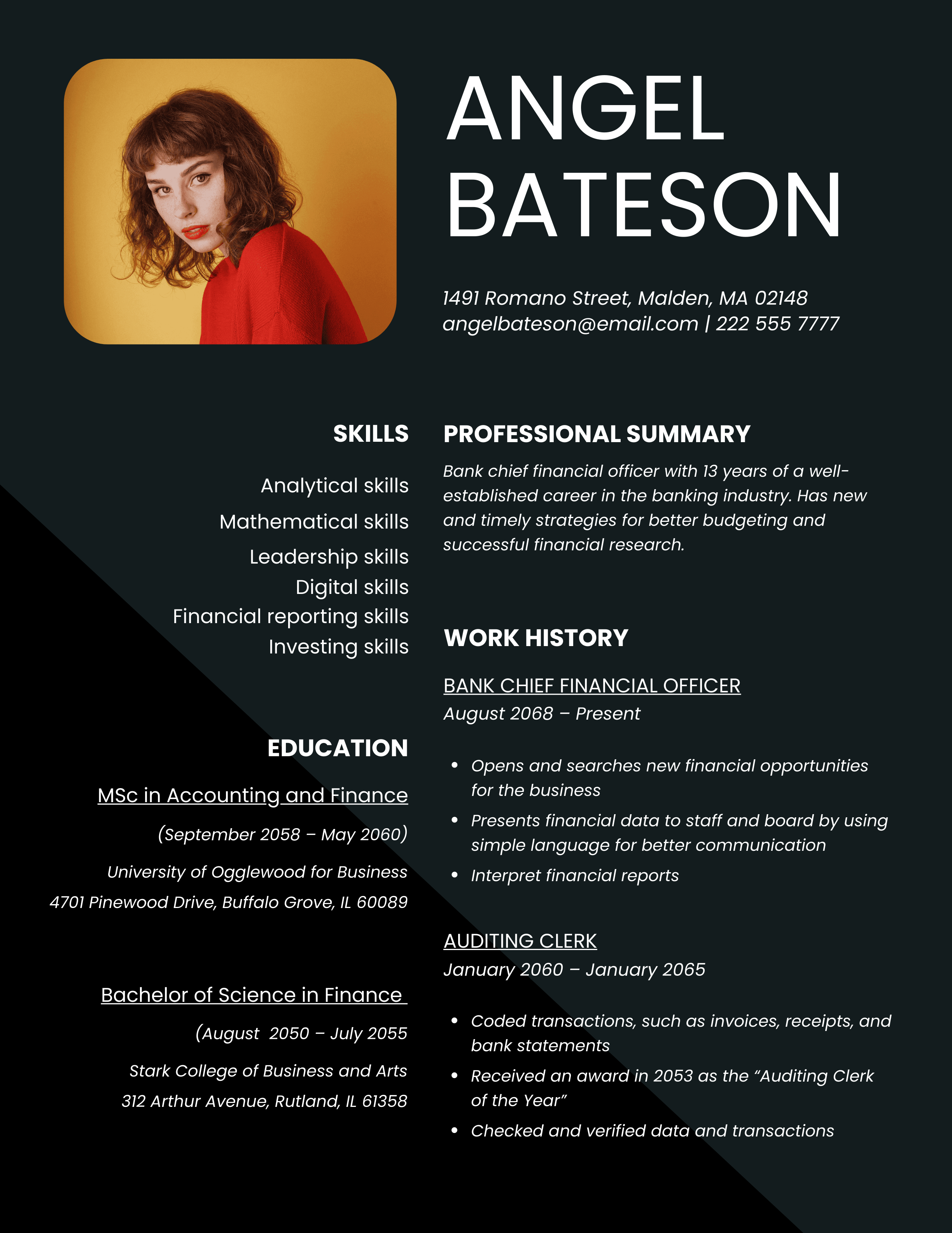 sample resume for chief financial officer