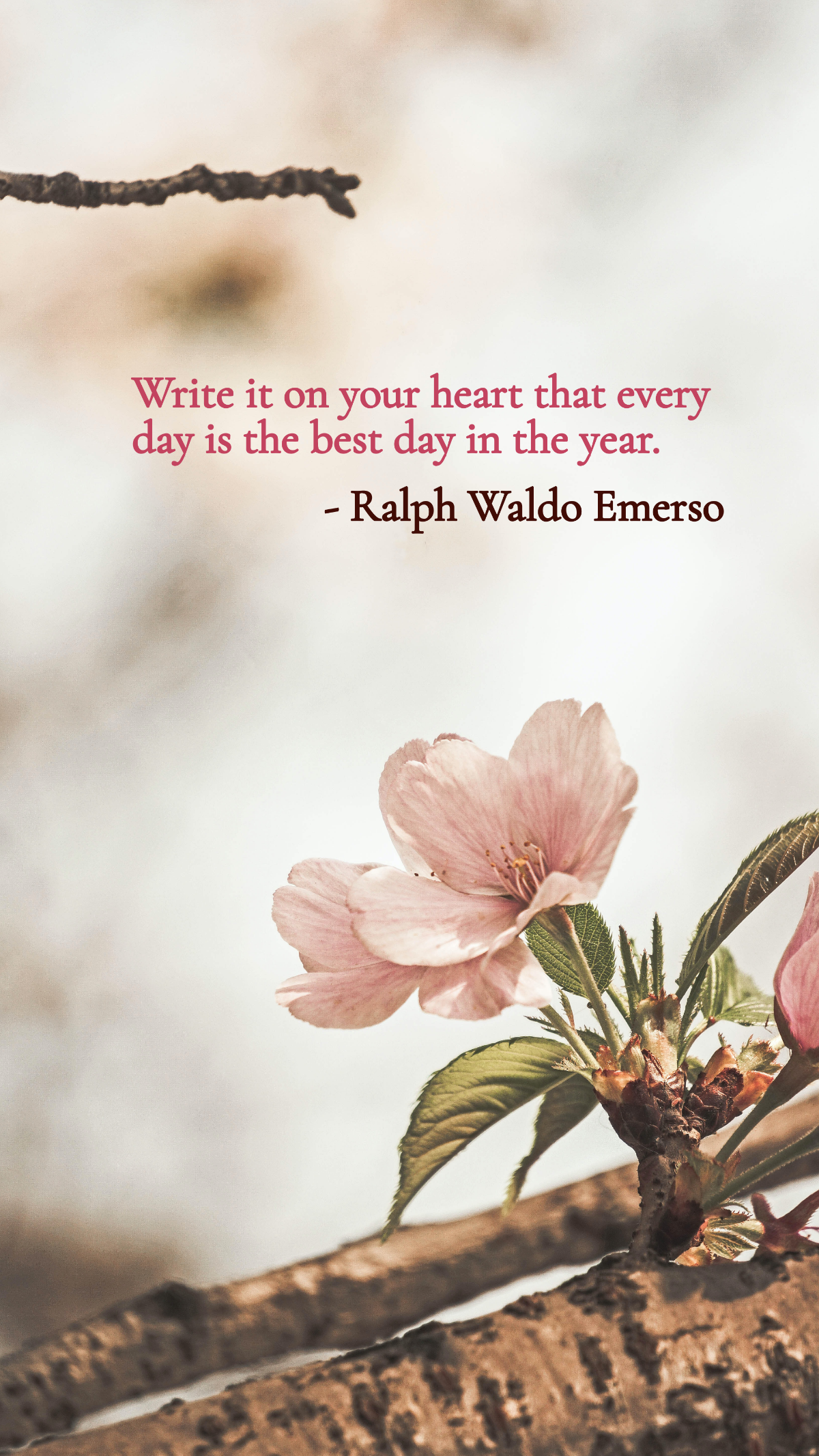 Write it on your heart that every day is the best day in the year. Template