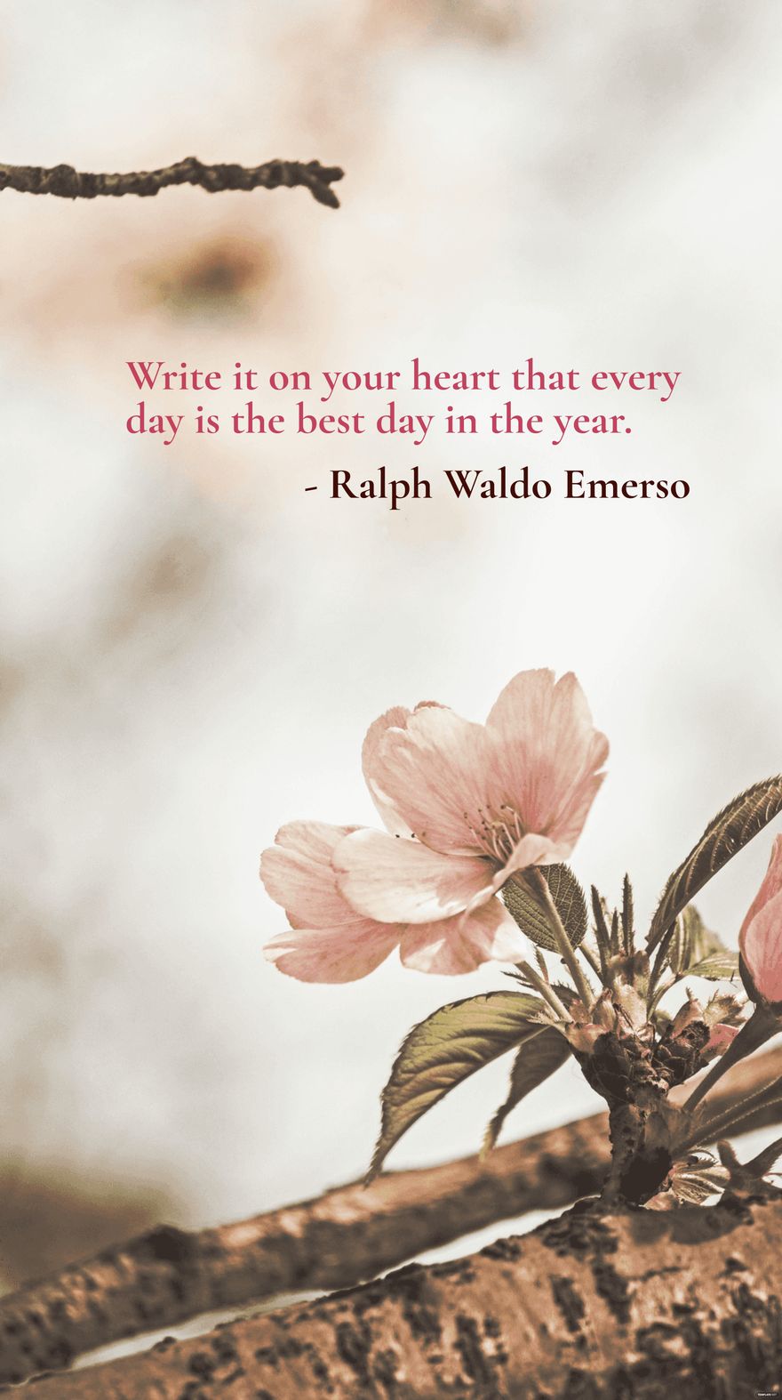 Free Write it on your heart that every day is the best day in the year.